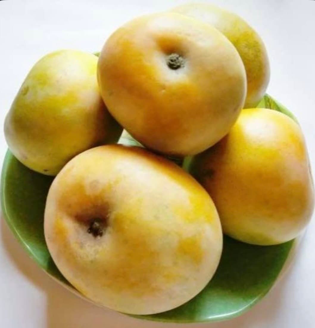 APPLE RUMANIO MANGO