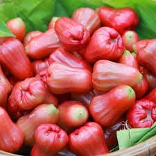 DELHARI WATER APPLE
