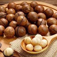 MACADAMIA