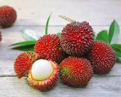 PULASAN