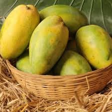 HIMAPASANTH MANGO